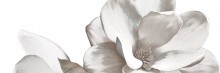 *Dekoorikomplekt Cavan calacatta (lill) 2 x 20x60 - Hansas Plaadimaailm
