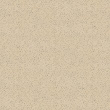 Granifloor beige 2121-920H 20x20x0,82 R11/B I sort - Hansas Plaadimaailm