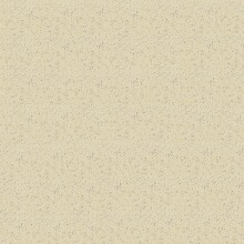 Granifloor white 2213-911H R10/A 30x30x0,82 I sort - Hansas Plaadimaailm