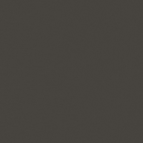 Pro Architectura 3.0 Solid grey 2213-C290 R10/A 30x30x0,82 - Hansas Plaadimaailm